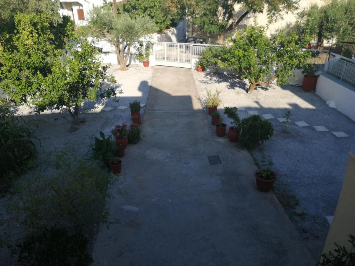 Sunny Cozy House With Grand Courtyard Appartamento *