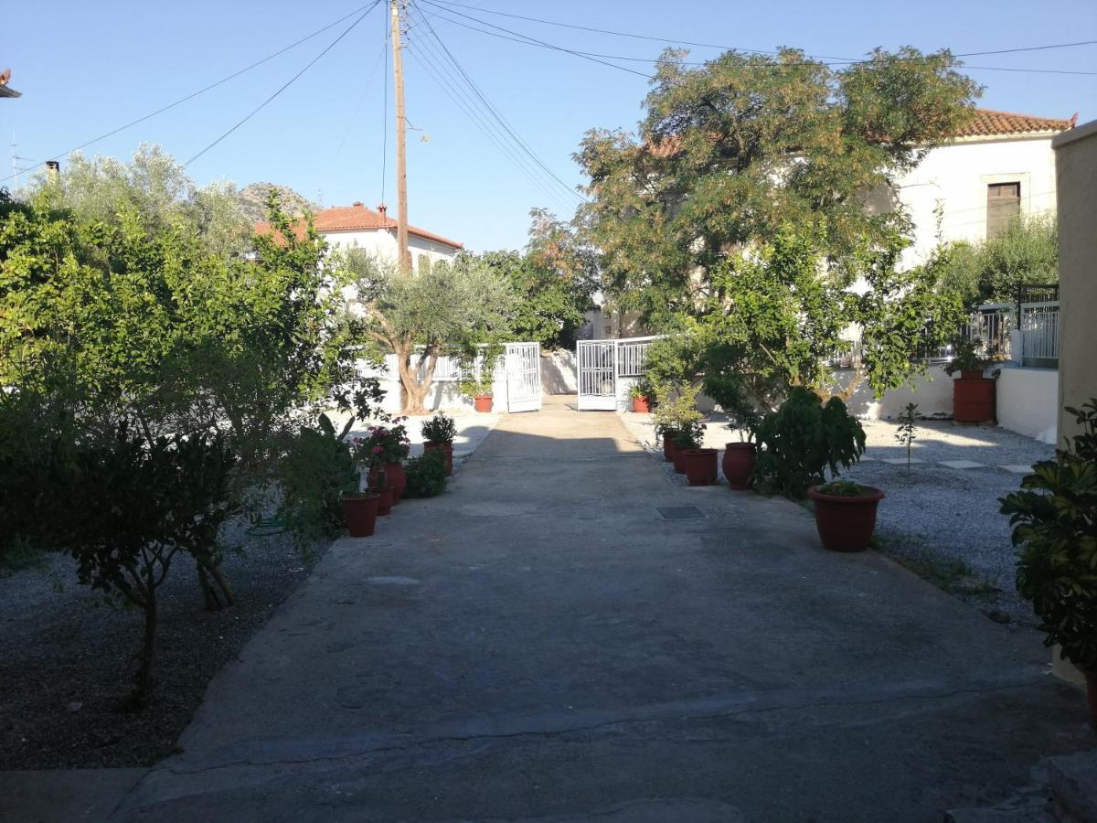 Apartment Sunny Cozy House With Grand Courtyard *